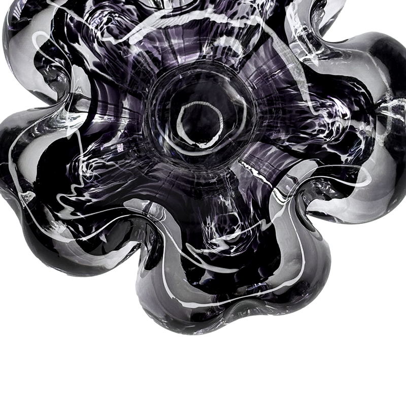 Cistus Flor Morado Oscuro Mario Cioni