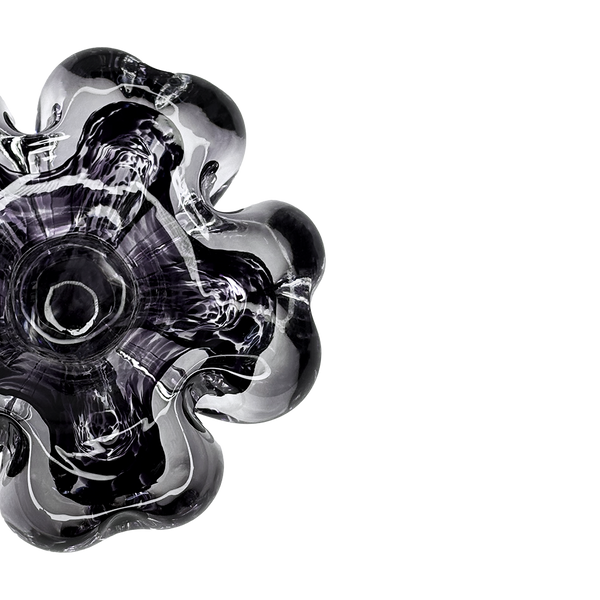Cistus Flor Morado Oscuro Mario Cioni