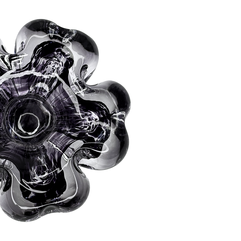 Cistus Flor Morado Oscuro Mario Cioni