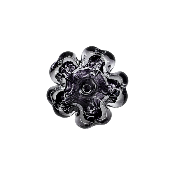Cistus Flor Morado Oscuro Mario Cioni