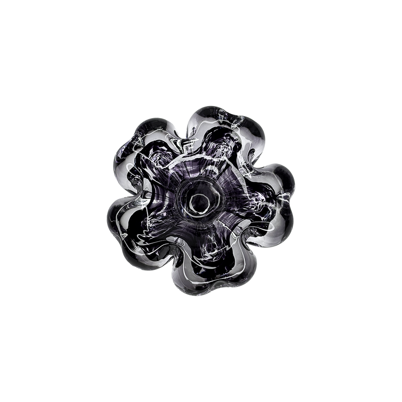 Cistus Flor Morado Oscuro Mario Cioni