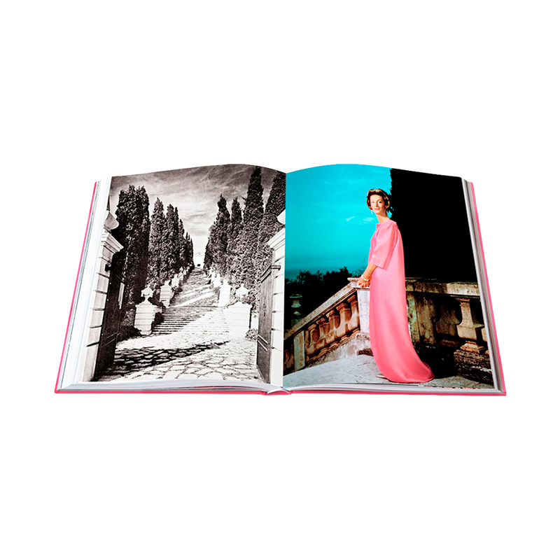 Cisnes: Leyendas de la Sociedad Jet