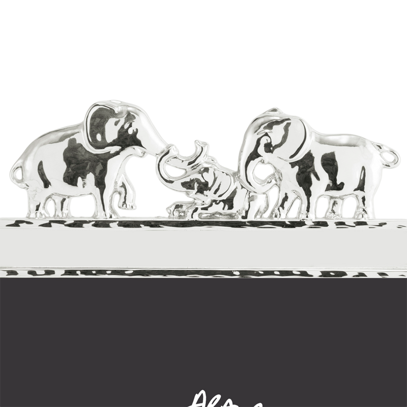 Marco para Fotos Elephant Michael Aram