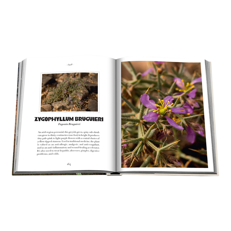 AlUla Flora
