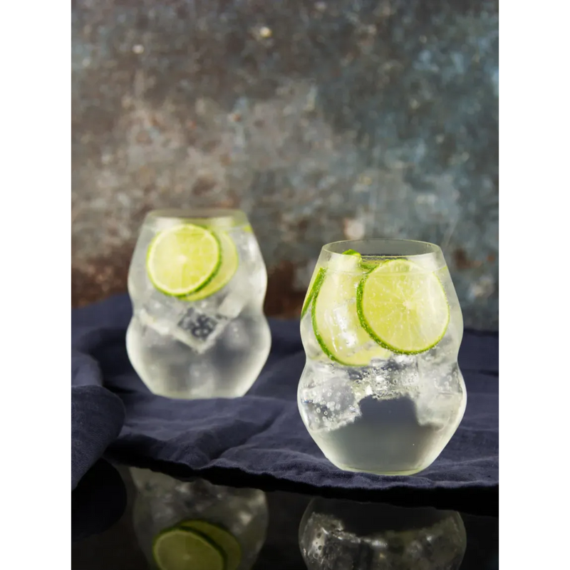 Vaso Multiuso Swirl Riedel (set de 2) – G&G Home