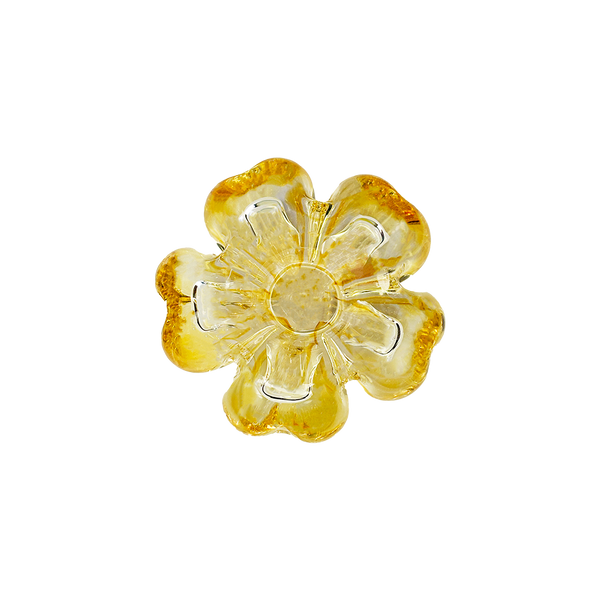 Cistus Flor Amber Mario Cioni