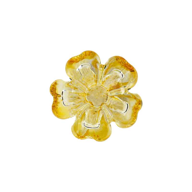 Cistus Flor Amber Mario Cioni