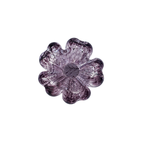 Cistus Flor Amatista Mario Cioni