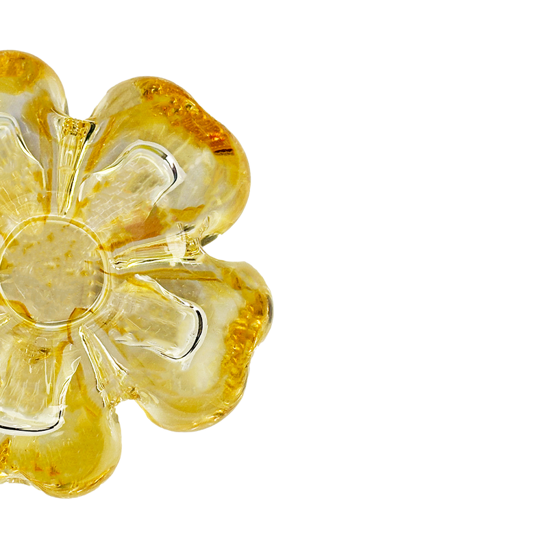 Cistus Flor Amber Mario Cioni