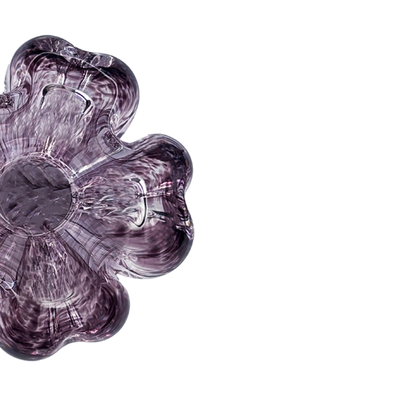 Cistus Flor Amatista Mario Cioni