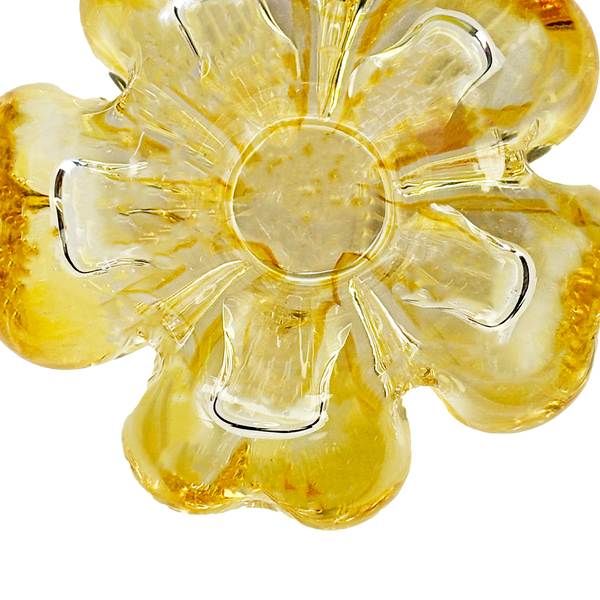 Cistus Flor Amber Mario Cioni