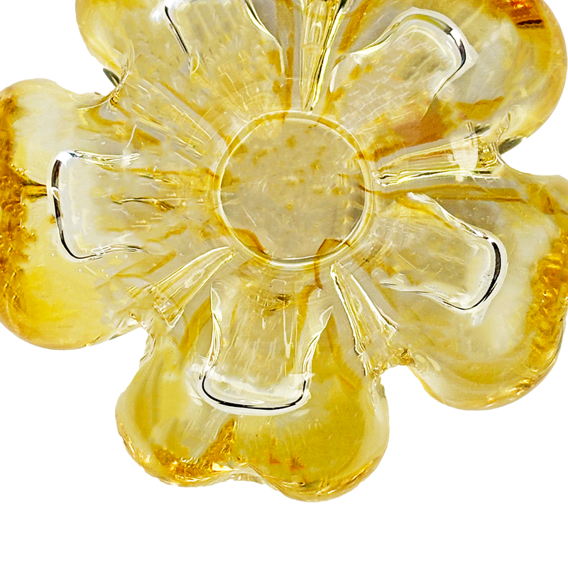 Cistus Flor Amber Mario Cioni