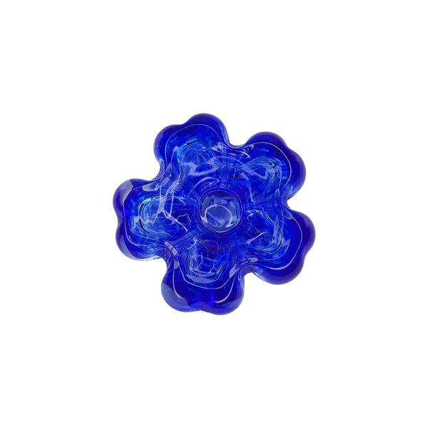 Cistus Flor Azul Mario Cioni