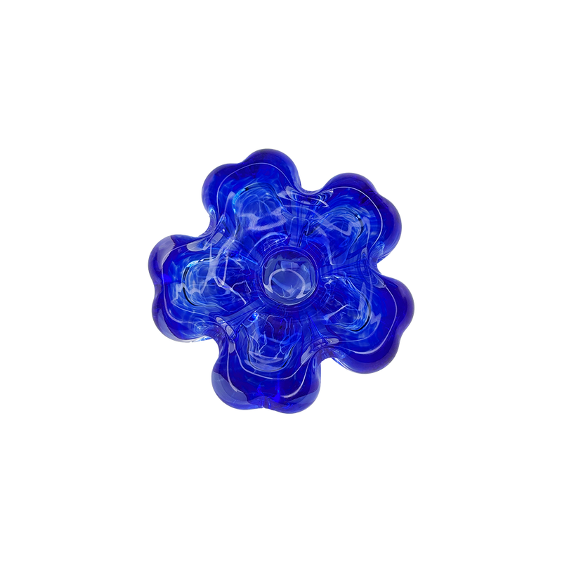 Cistus Flor Azul Mario Cioni