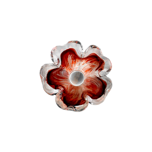 Cistus Flor Rojo Mario Cioni