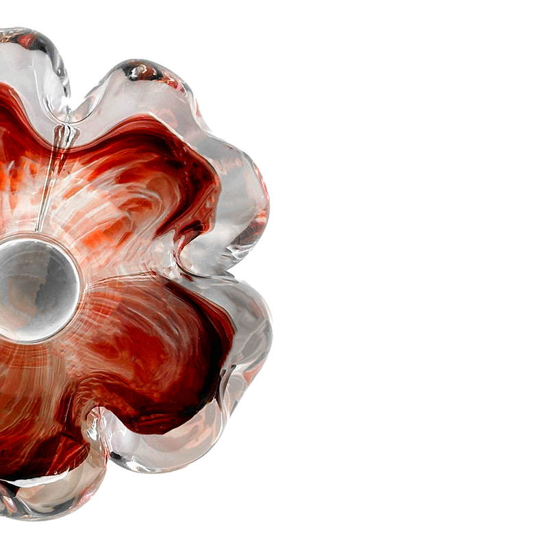 Cistus Flor Rojo Mario Cioni