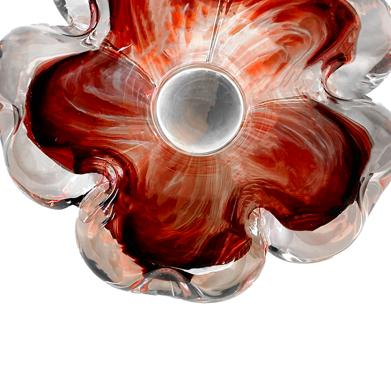 Cistus Flor Rojo Mario Cioni