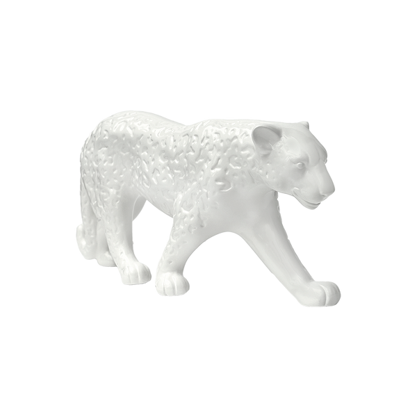 Leopardo Blanco Virgilio Wild Visceral