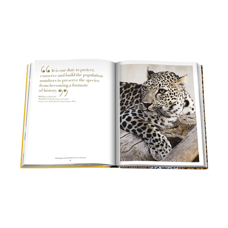 Arabian Leopard